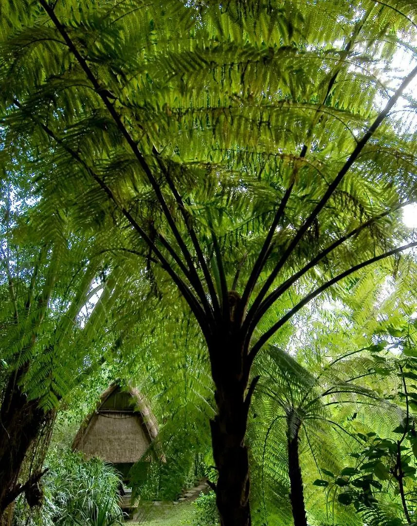 Villa Melati Ubud Indonesien